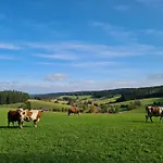 Schwarzwald Heimat Mit Pool, Sauna