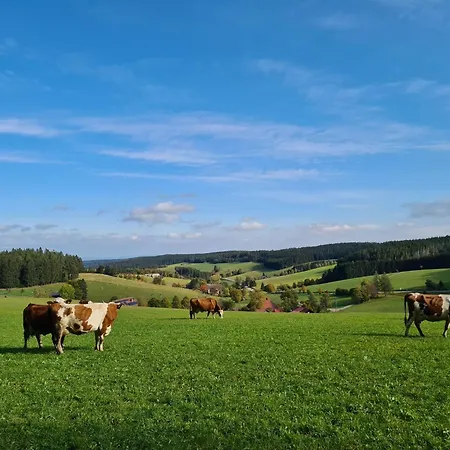 Schwarzwald Heimat Mit Pool, Sauna