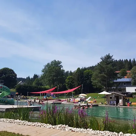 Apartment Schwarzwald Heimat Mit Pool, Sauna Schoenwald im Schwarzwald