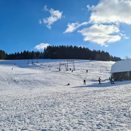 Schwarzwald Heimat Mit Pool, Sauna Schoenwald im Schwarzwald